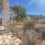 דירה Franic ספלונרה