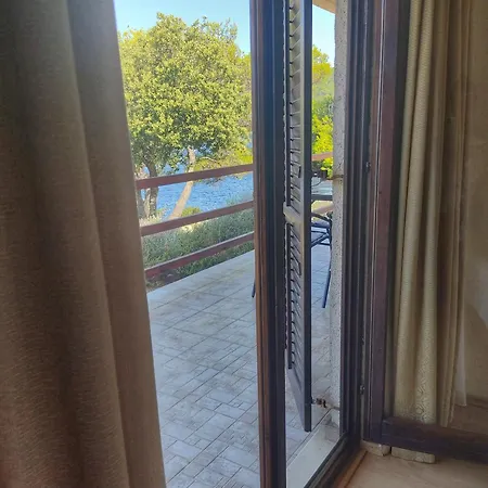 Franic ספלונרה