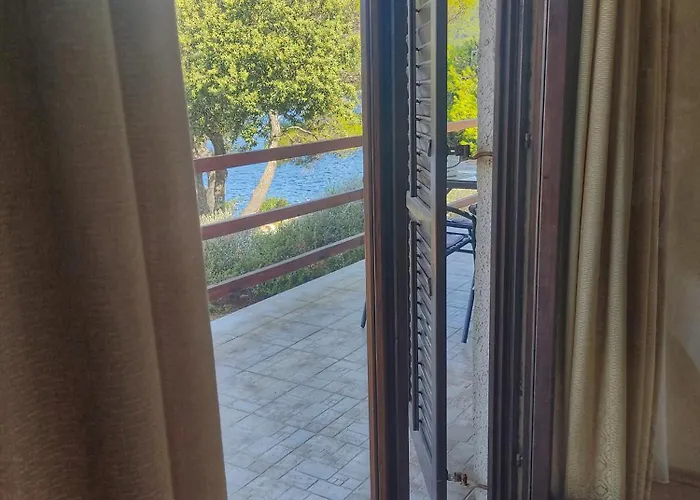 Franic ספלונרה