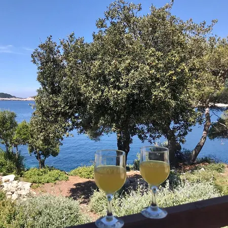 Franic 아파트 사플루나라