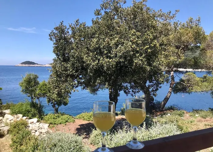 Franic 아파트 사플루나라